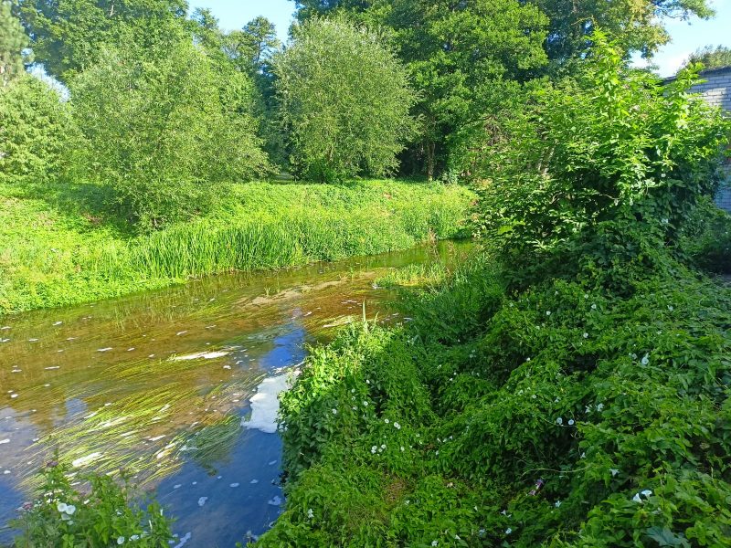 IMG-20220802-WA0026