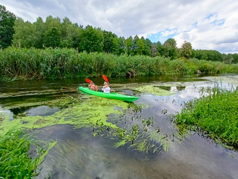 IMG-20220802-WA0028