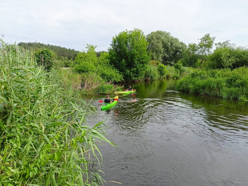 IMG-20220819-WA0003