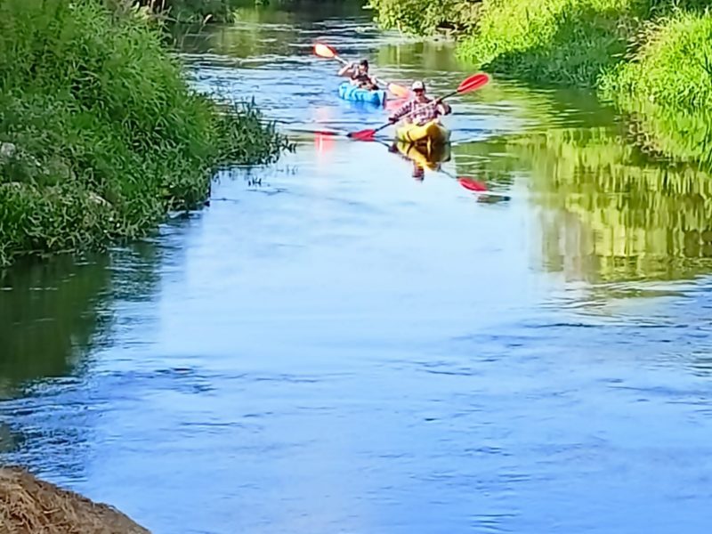 IMG-20220819-WA0006