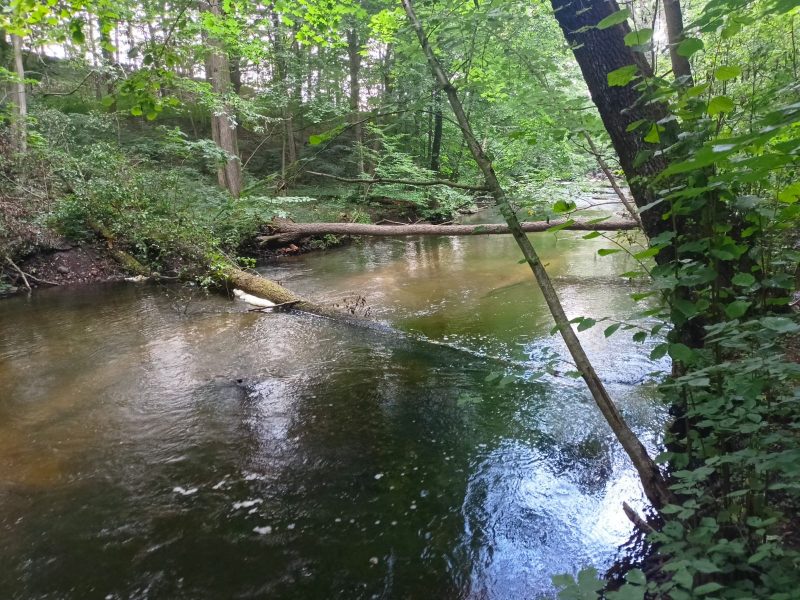 IMG-20220819-WA0014
